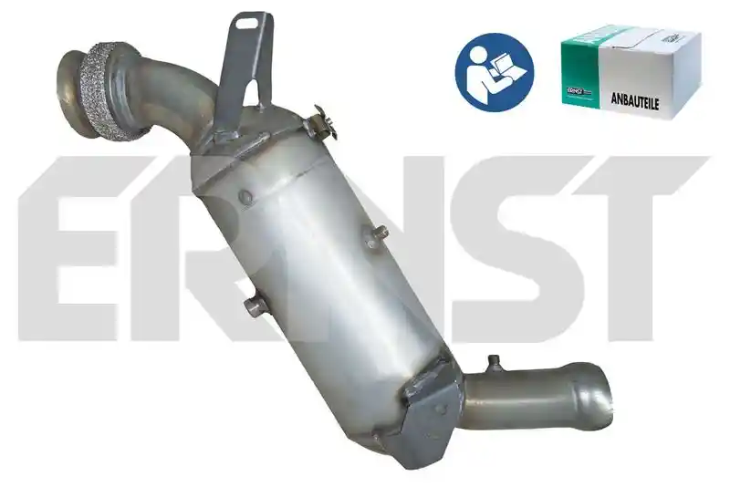 ERNST 910125