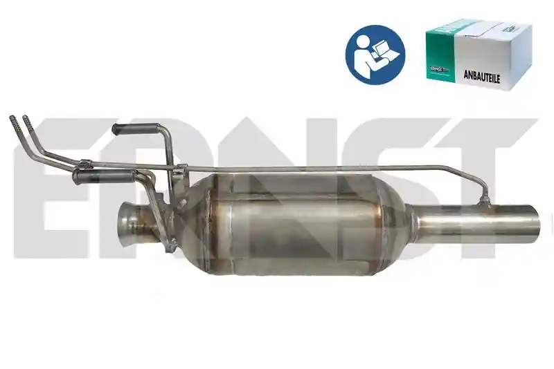 ERNST 910231