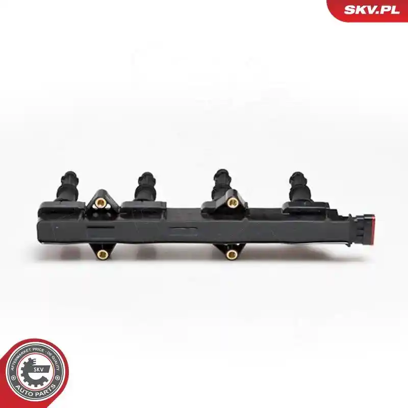 ESEN SKV 03SKV143