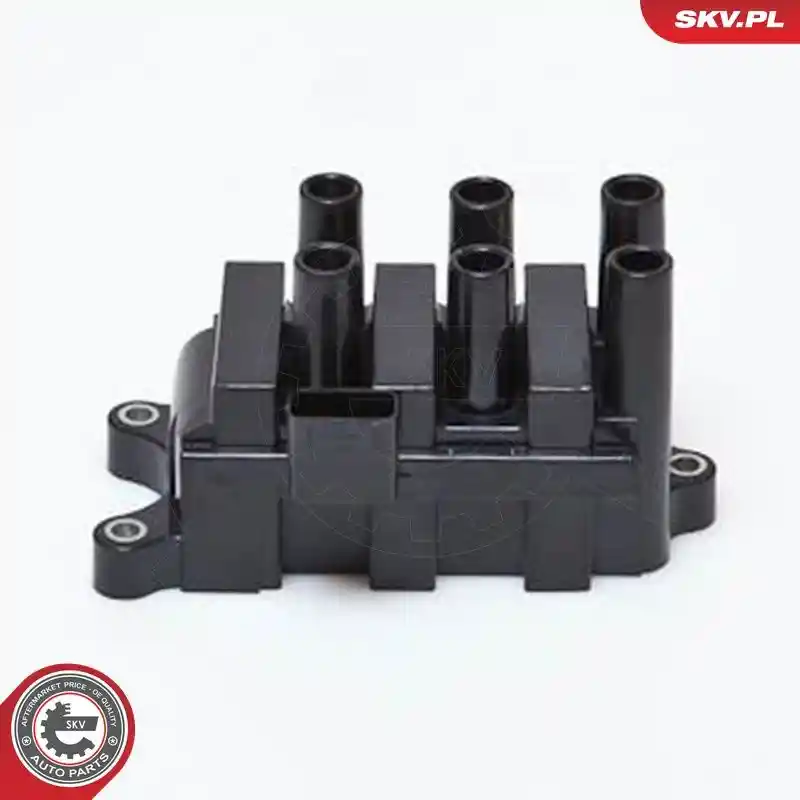 ESEN SKV 03SKV161