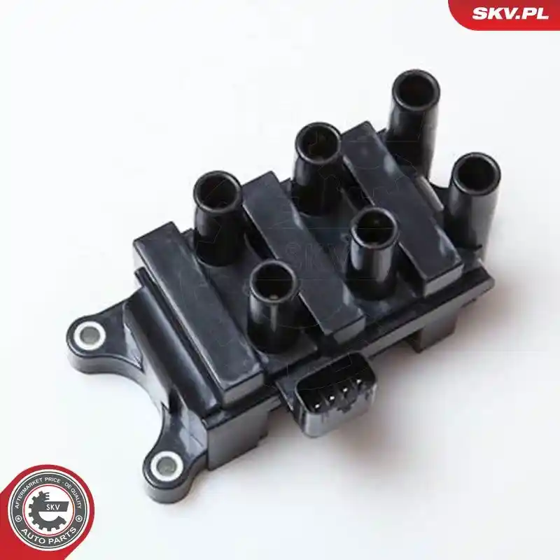 ESEN SKV 03SKV161