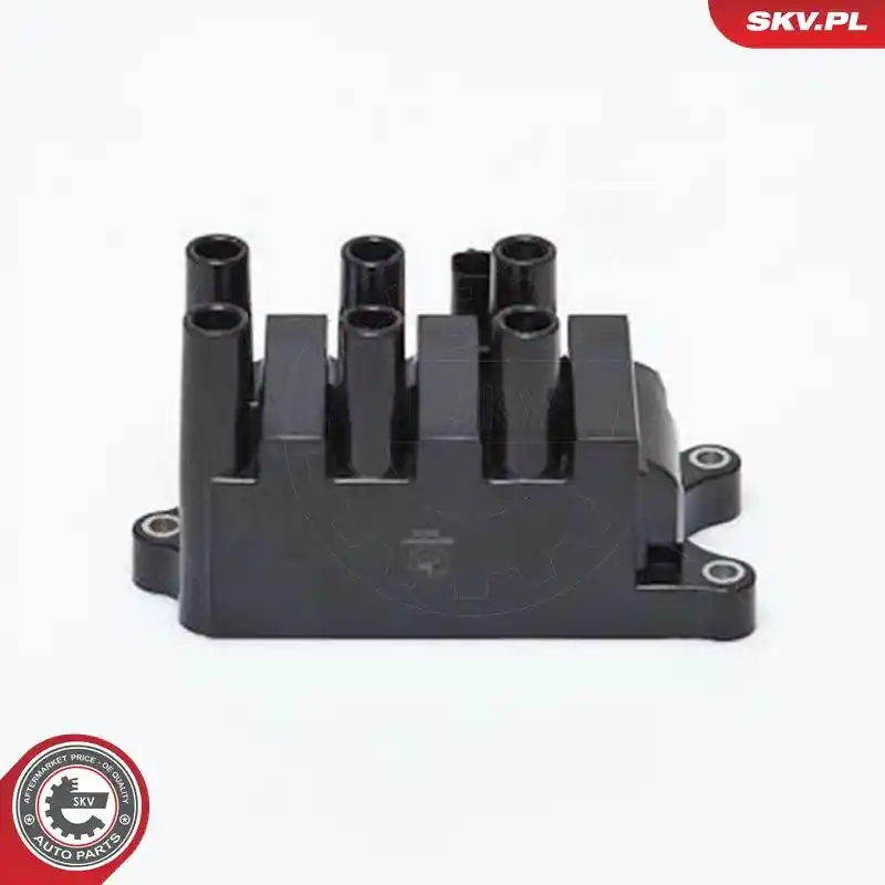 ESEN SKV 03SKV161