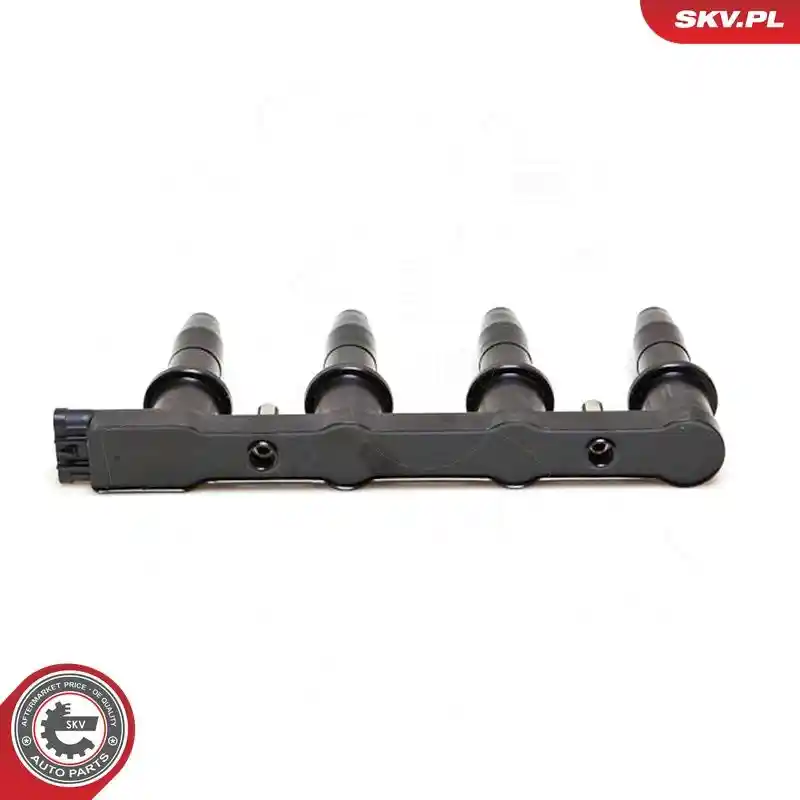 ESEN SKV 03SKV168