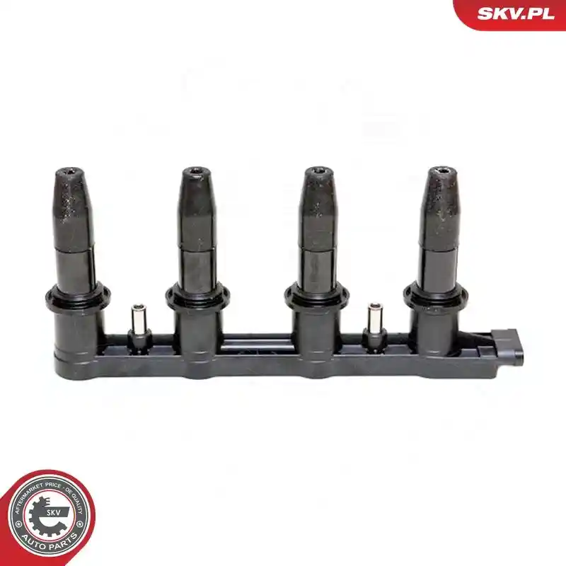 ESEN SKV 03SKV168