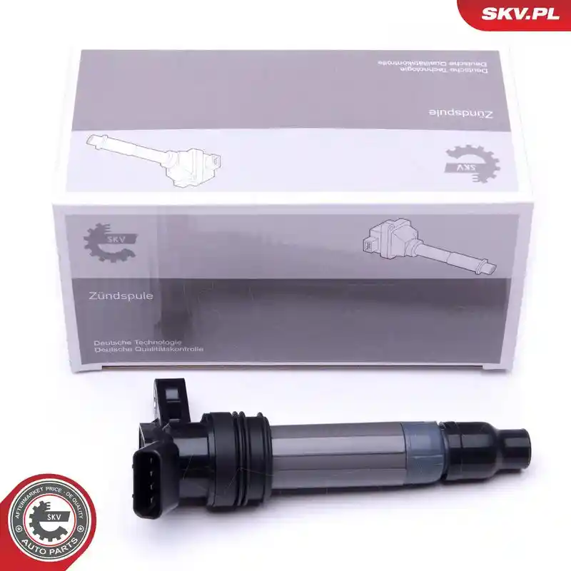 ESEN SKV 03SKV272