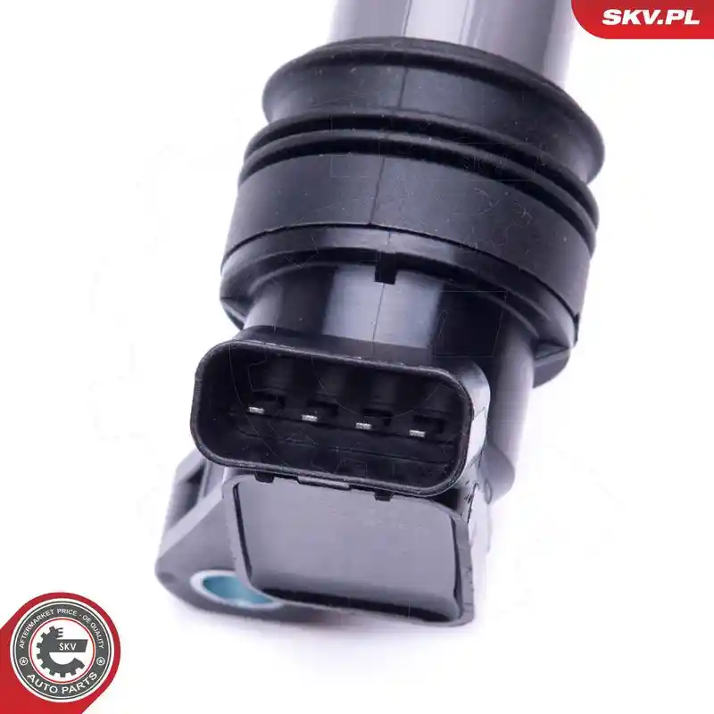 ESEN SKV 03SKV272