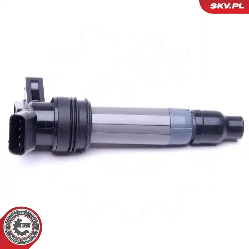 ESEN SKV 03SKV272