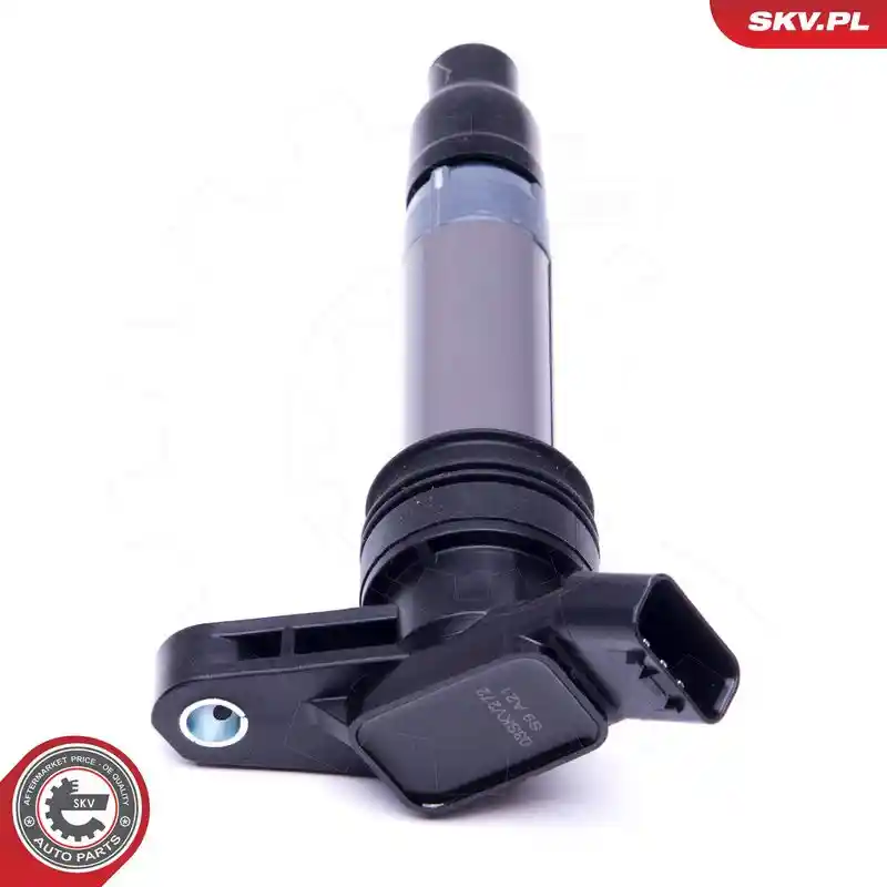 ESEN SKV 03SKV272