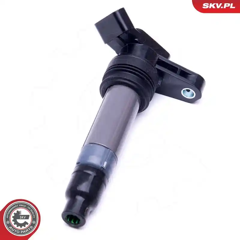 ESEN SKV 03SKV272