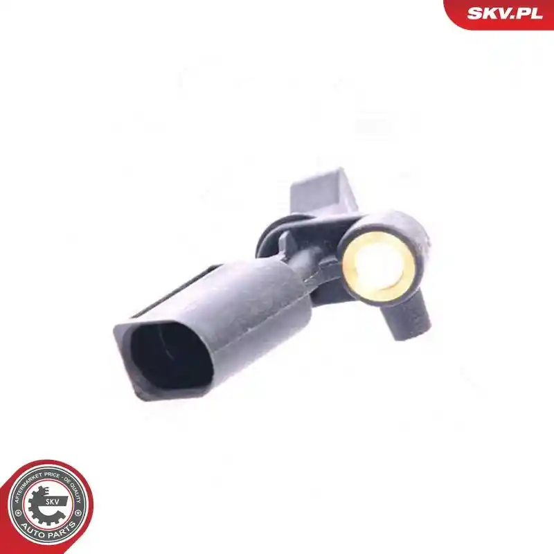 ESEN SKV 06SKV017