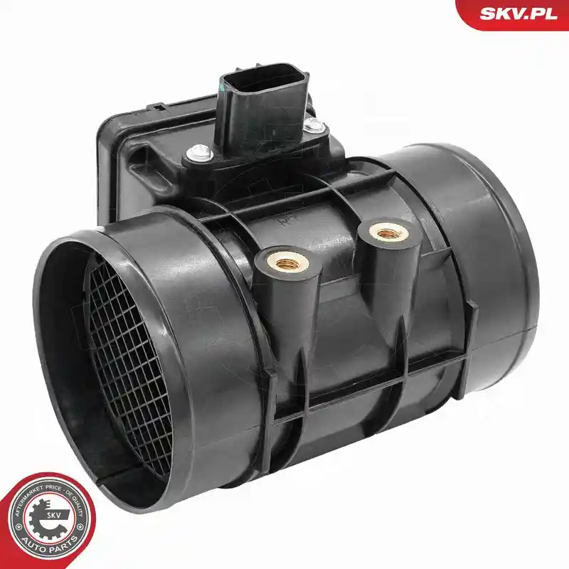 ESEN SKV 07SKV289