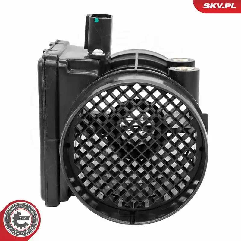 ESEN SKV 07SKV289