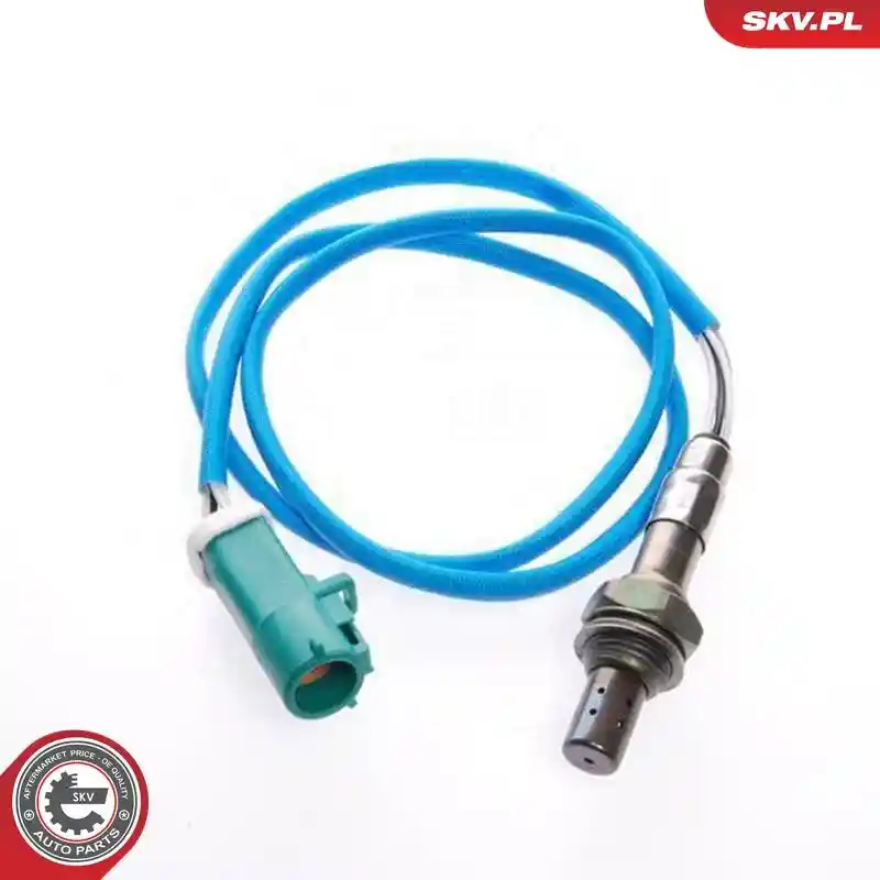 ESEN SKV 09SKV006
