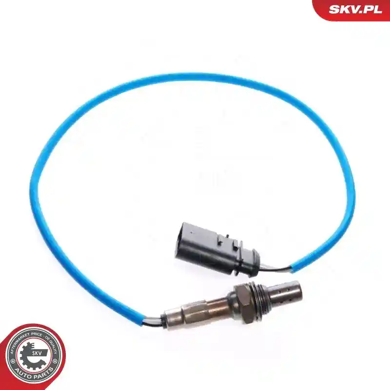 ESEN SKV 09SKV029