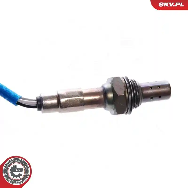 ESEN SKV 09SKV029