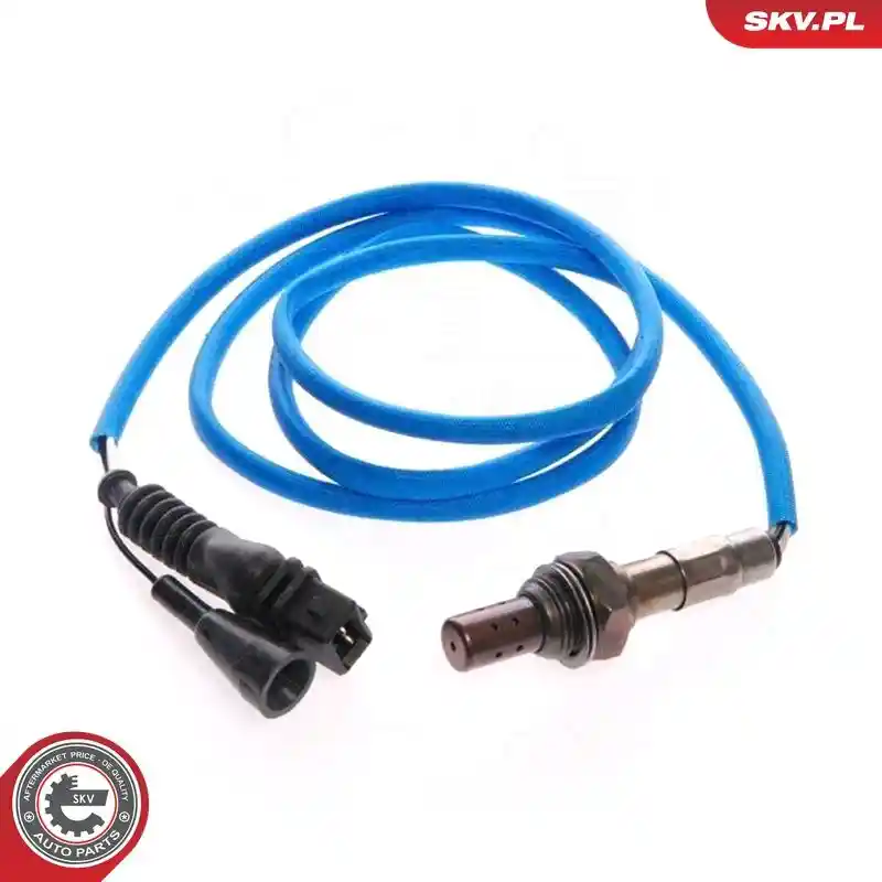 ESEN SKV 09SKV033