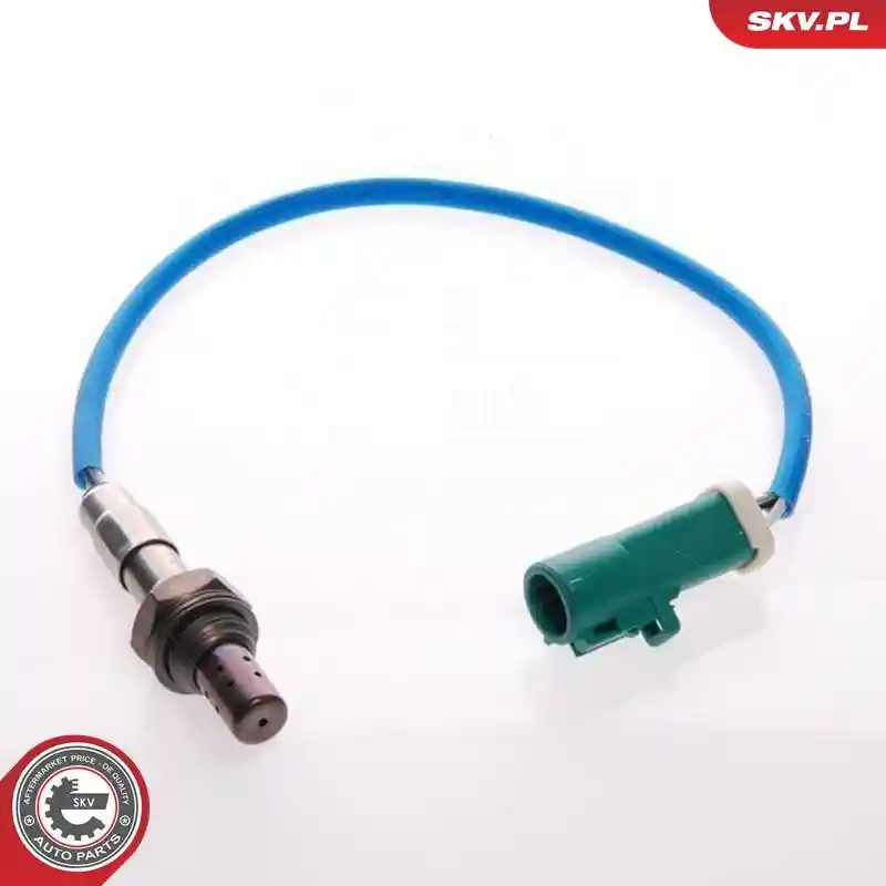 ESEN SKV 09SKV048
