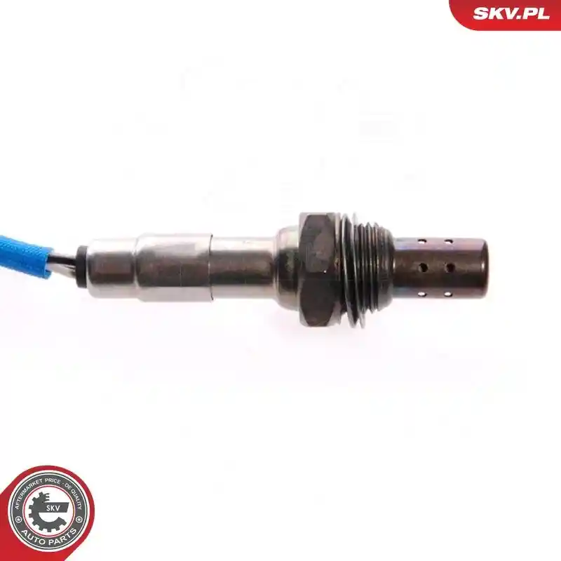 ESEN SKV 09SKV048