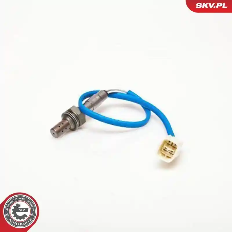 ESEN SKV 09SKV058