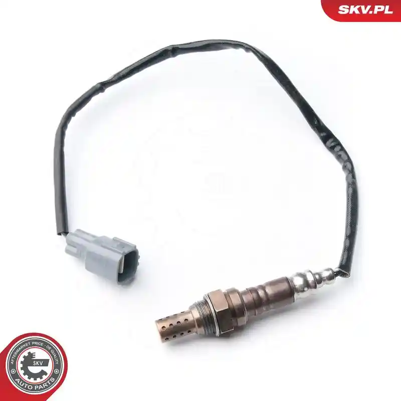 ESEN SKV 09SKV113
