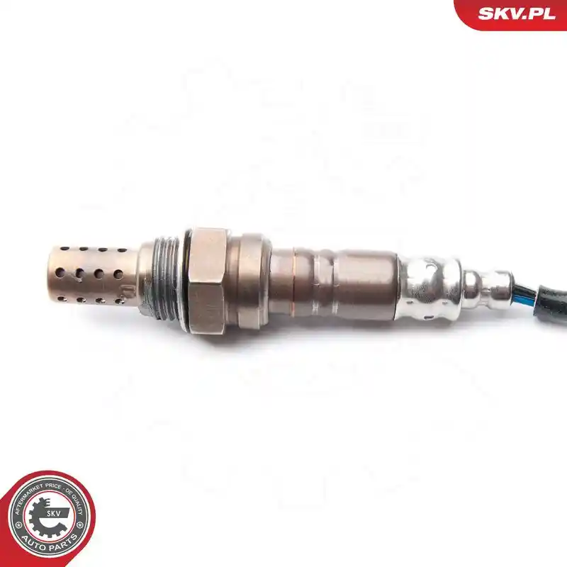 ESEN SKV 09SKV113