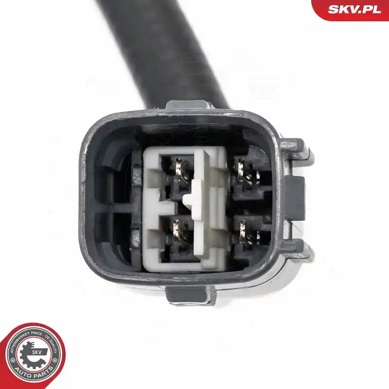 ESEN SKV 09SKV193