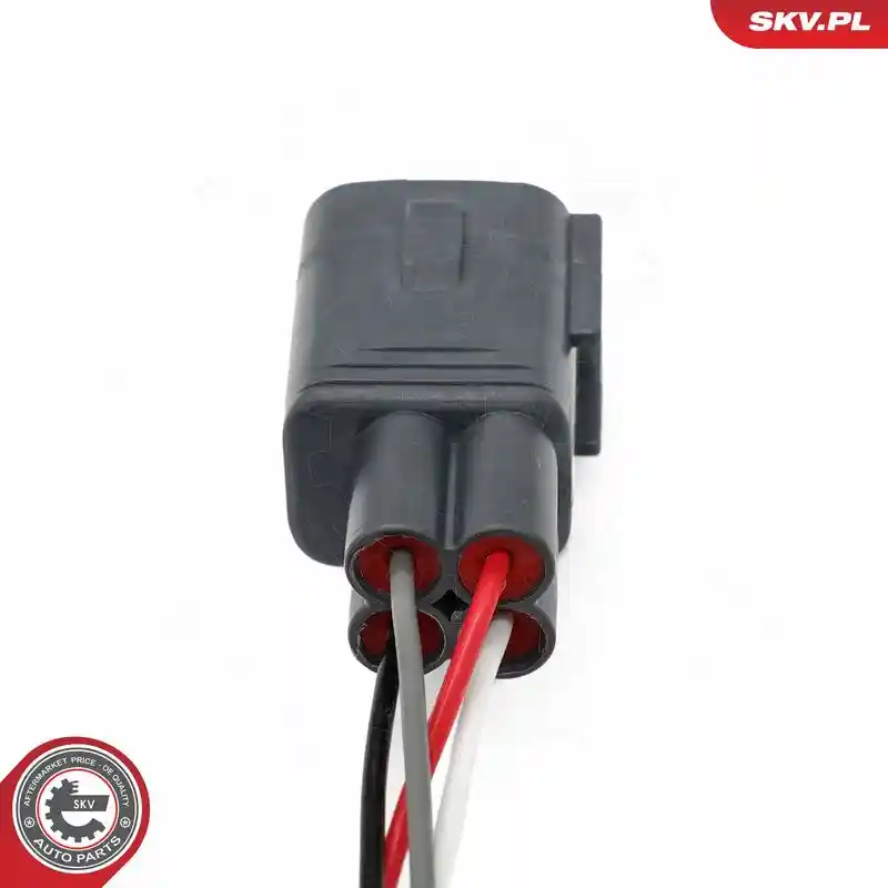 ESEN SKV 09SKV193