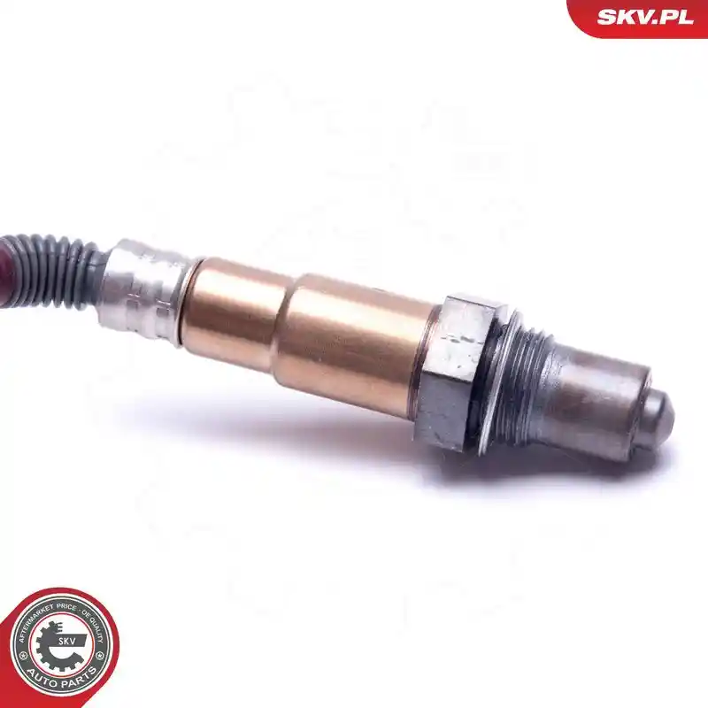 ESEN SKV 09SKV413