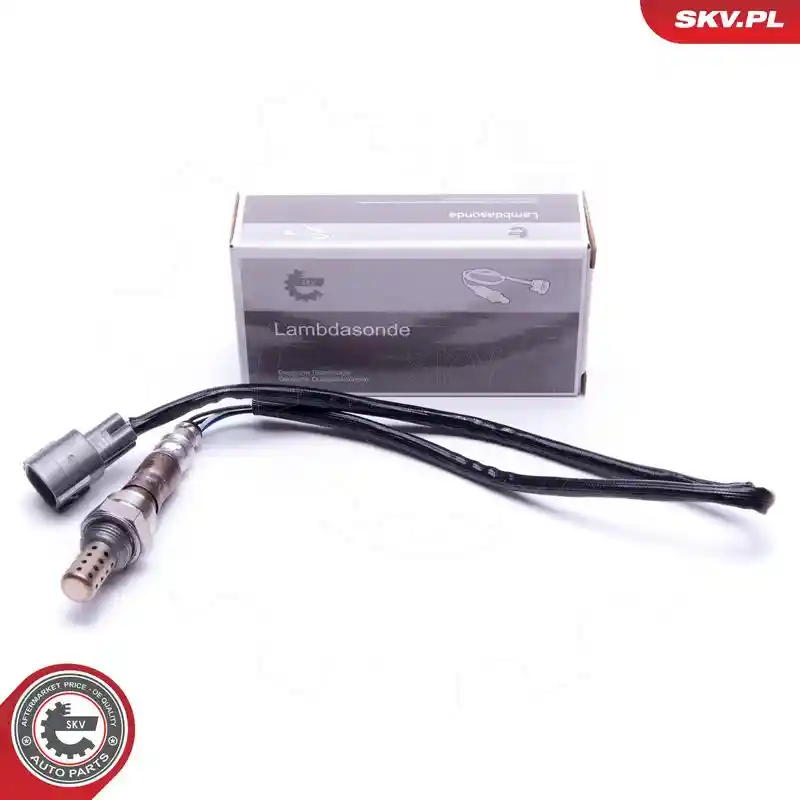 ESEN SKV 09SKV431