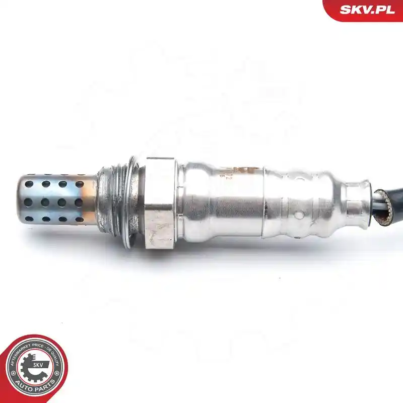 ESEN SKV 09SKV572