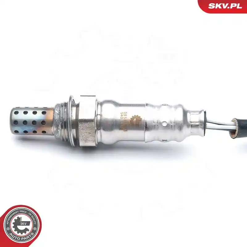 ESEN SKV 09SKV573