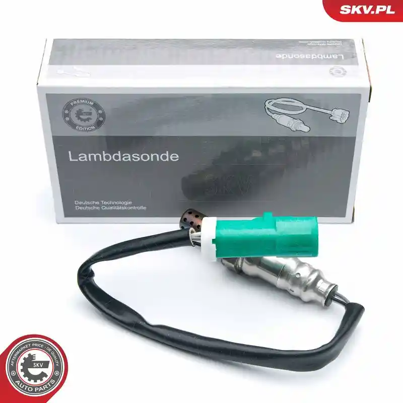 ESEN SKV 09SKV573