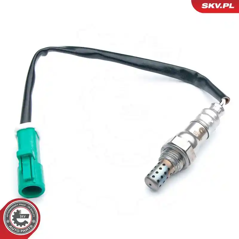 ESEN SKV 09SKV573