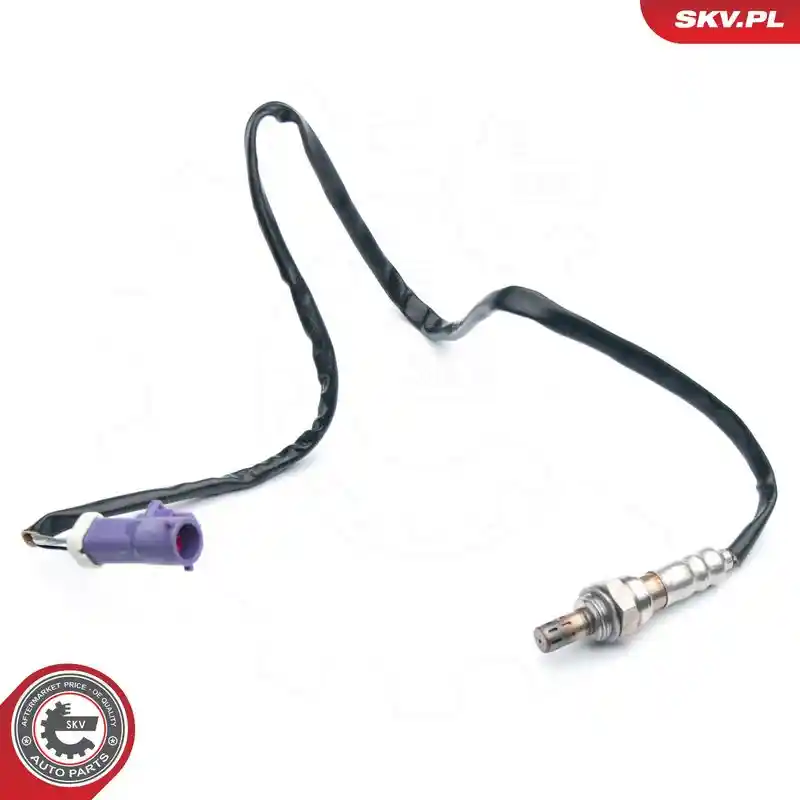ESEN SKV 09SKV574