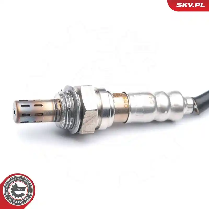 ESEN SKV 09SKV574