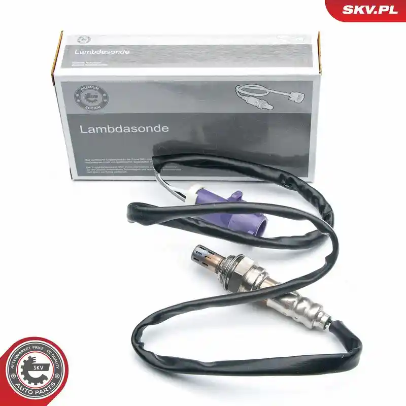 ESEN SKV 09SKV574