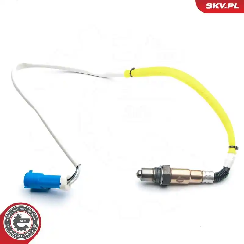 ESEN SKV 09SKV577
