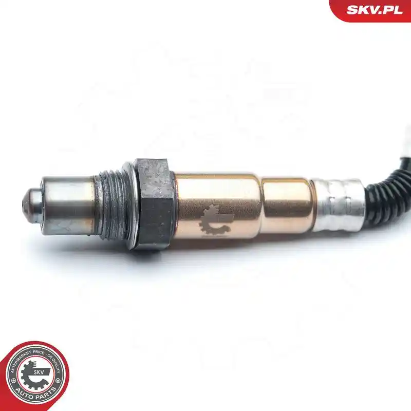 ESEN SKV 09SKV577