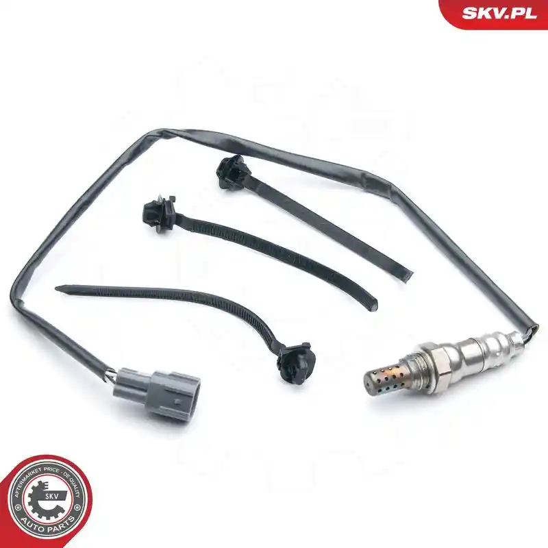 ESEN SKV 09SKV580