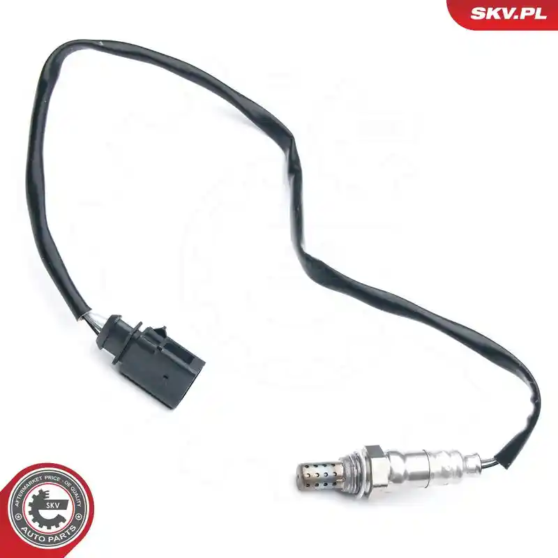 ESEN SKV 09SKV672