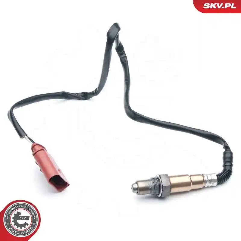 ESEN SKV 09SKV694