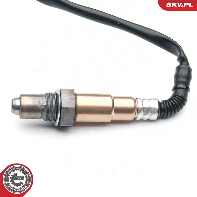 ESEN SKV 09SKV694