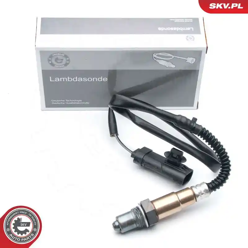 ESEN SKV 09SKV695