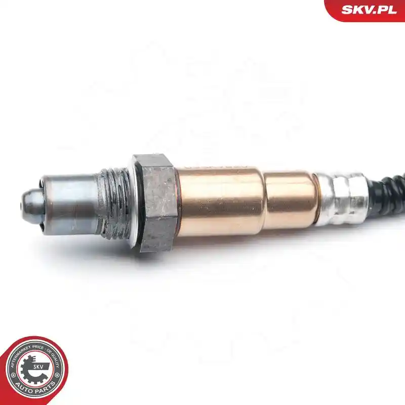 ESEN SKV 09SKV695