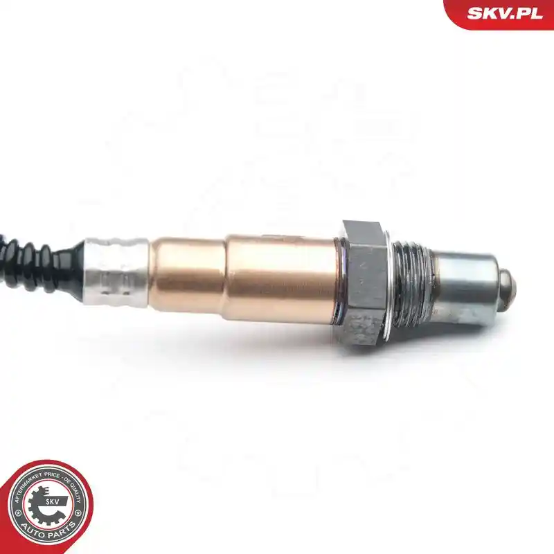 ESEN SKV 09SKV868