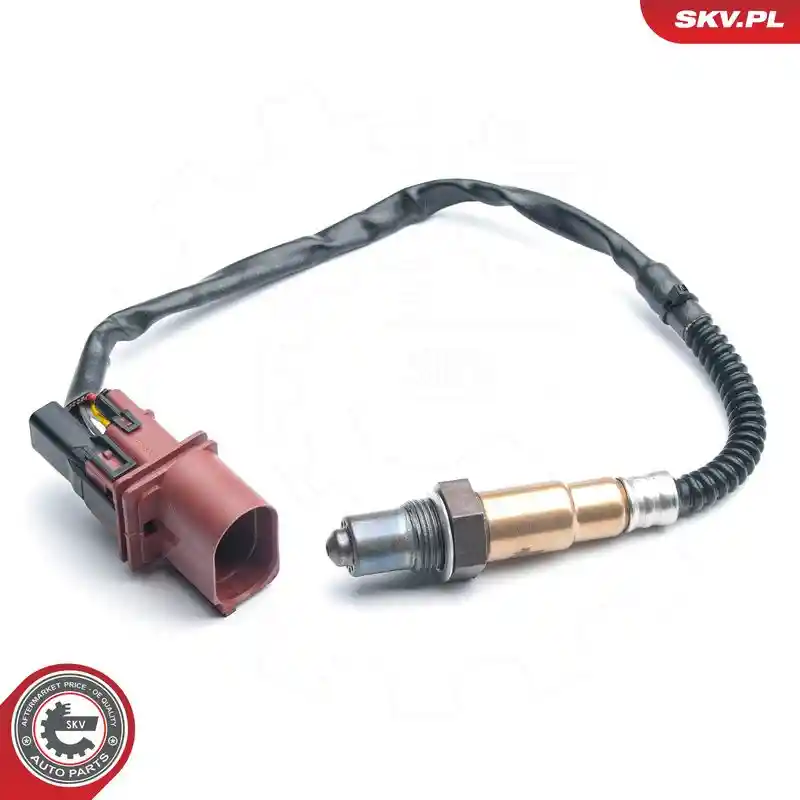 ESEN SKV 09SKV871