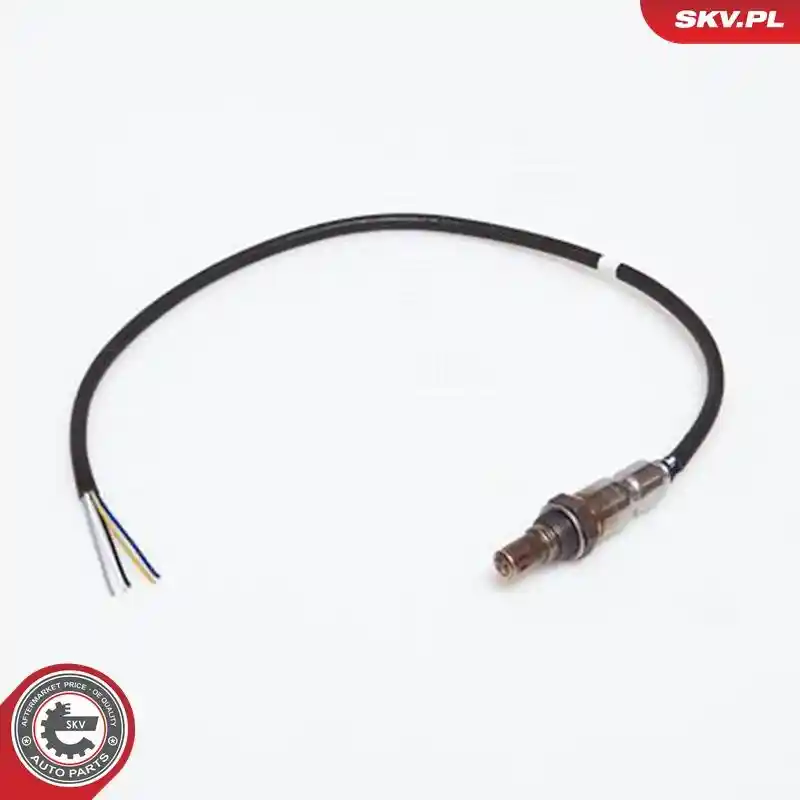 ESEN SKV 09SKV906