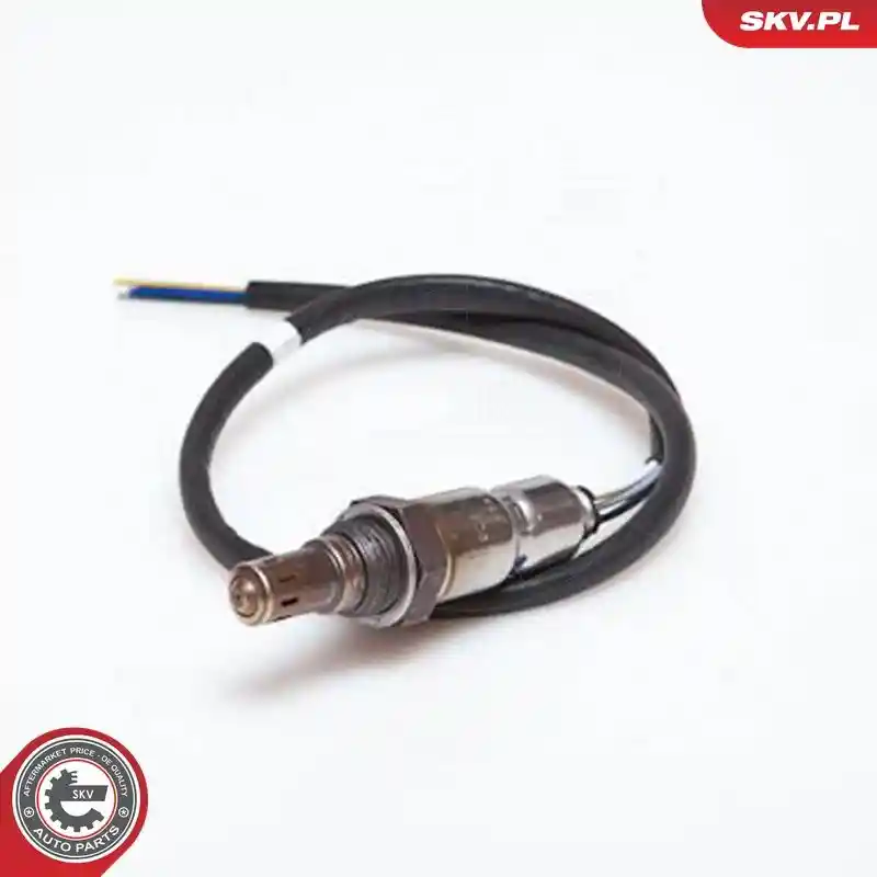 ESEN SKV 09SKV906