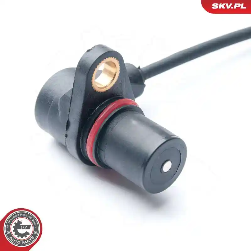 ESEN SKV 17SKV213