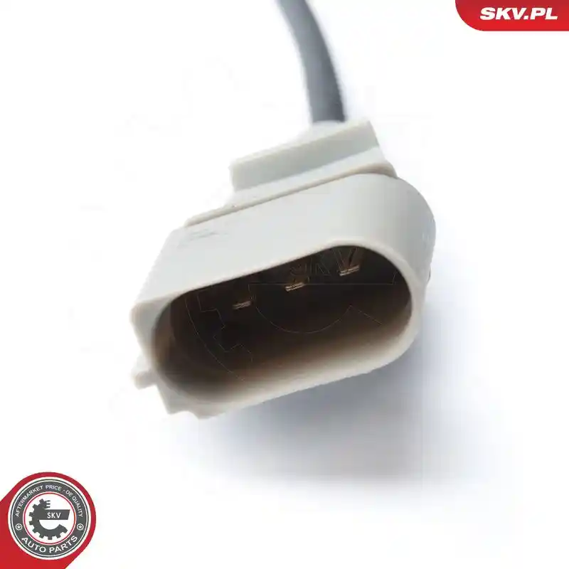 ESEN SKV 17SKV213